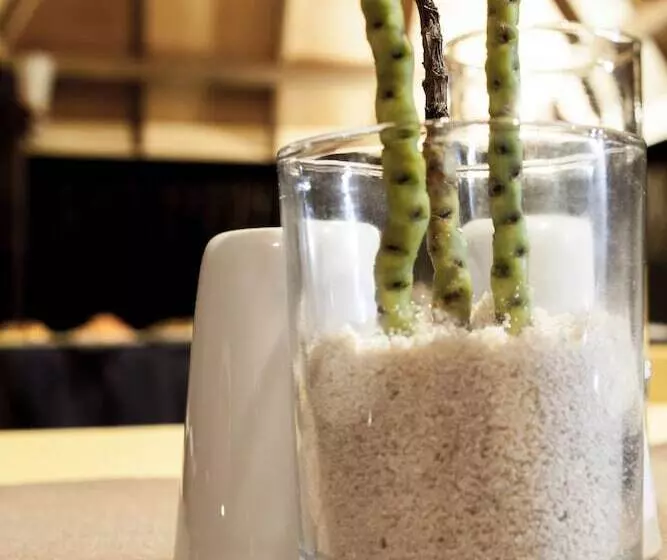 پانسیون Asuruma View