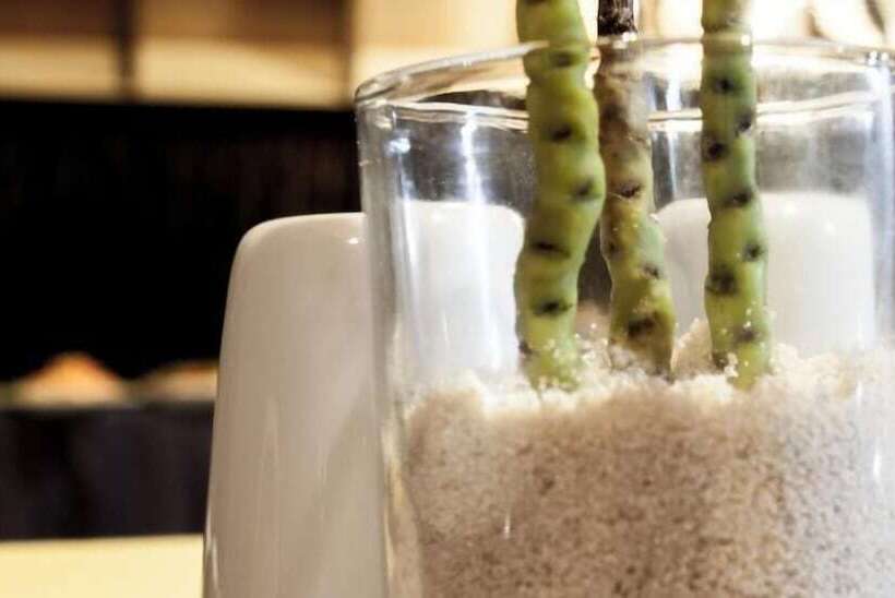 پانسیون Asuruma View