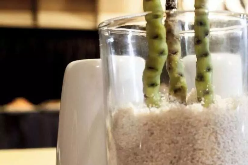 پانسیون Asuruma View