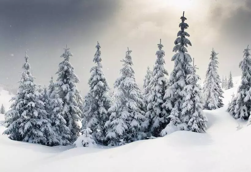 Отель Adonis Le Chastellan