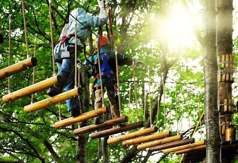 Отель Adonis Le Chastellan