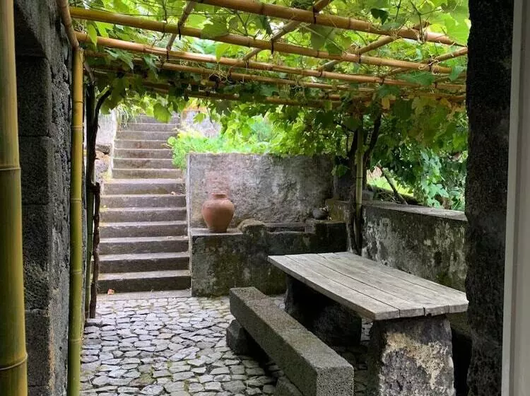 בית מלון כפרי Casa Das Barcas