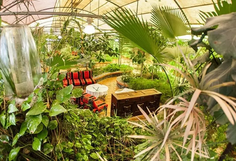 هتل Dar Diaf Bouchaoui