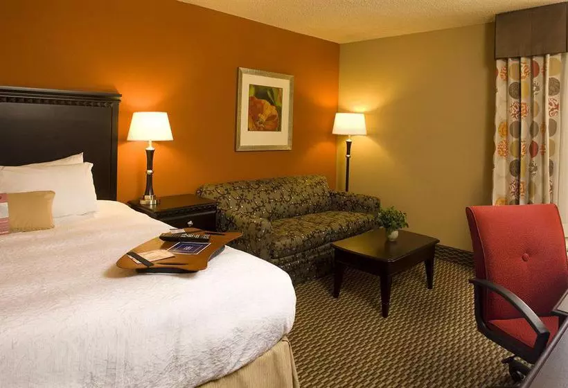 Отель Hampton Inn Asheville - I-26 Biltmore Square
