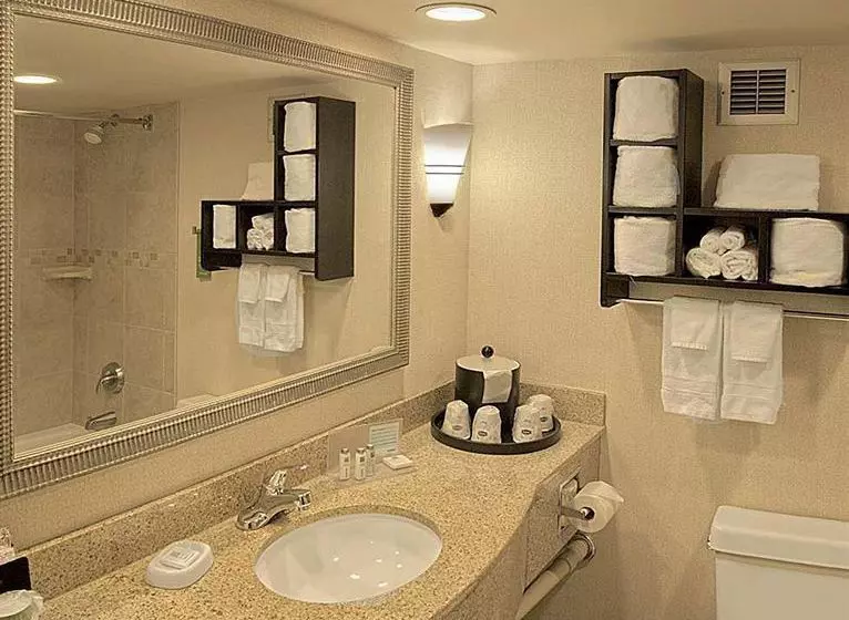 Отель Hampton Inn Asheville - I-26 Biltmore Square