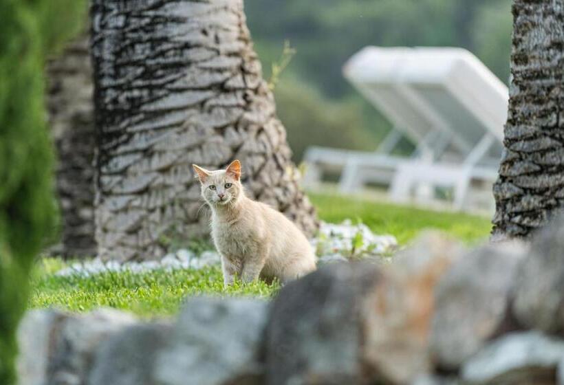 فندق Monnaber Vell