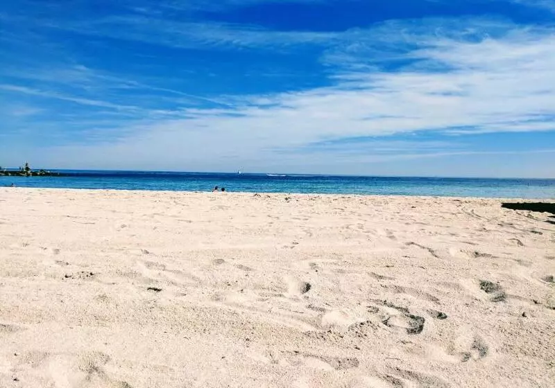 ホテル Beach Haus Bal Harbour