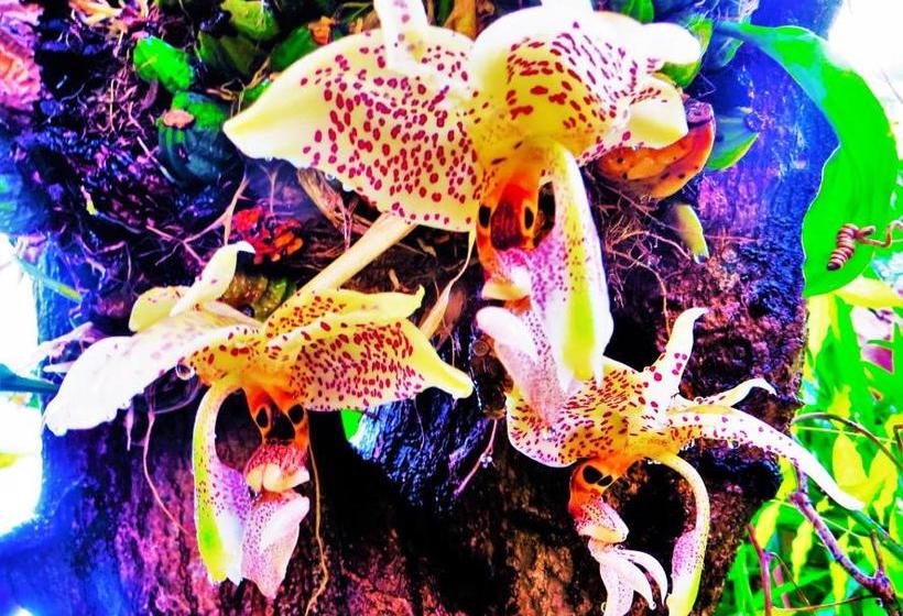 酒店 Quinta Do Cabouco