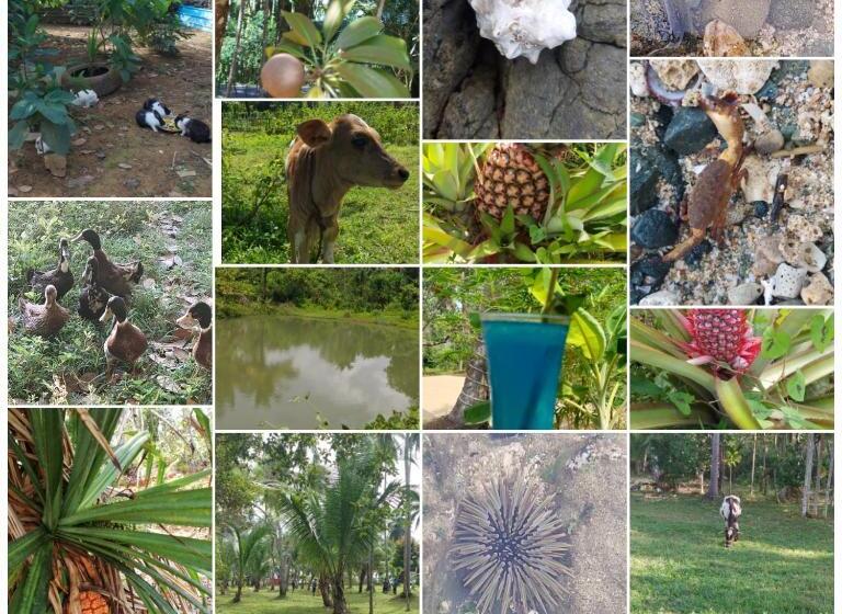 Adhvasaha Beach Spa Resort