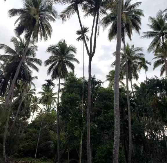 Adhvasaha Beach Spa Resort