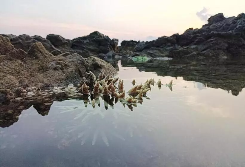 Adhvasaha Beach Spa Resort