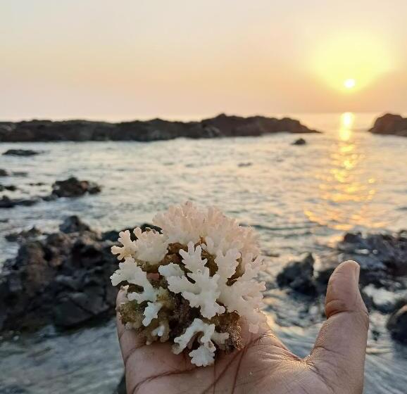 Adhvasaha Beach Spa Resort