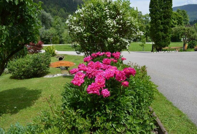 ホテル Ferienwohnungen Kilianmühle