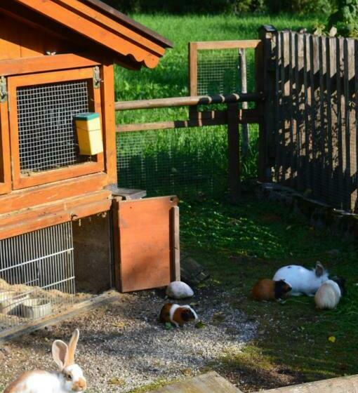 ホテル Ferienwohnungen Kilianmühle