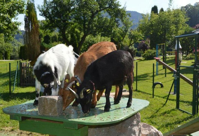 ホテル Ferienwohnungen Kilianmühle