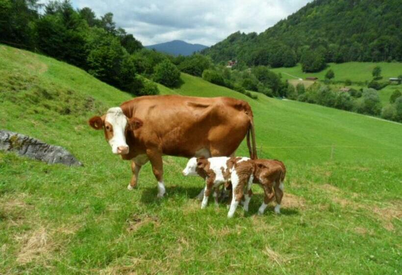 ホテル Ferienwohnungen Kilianmühle