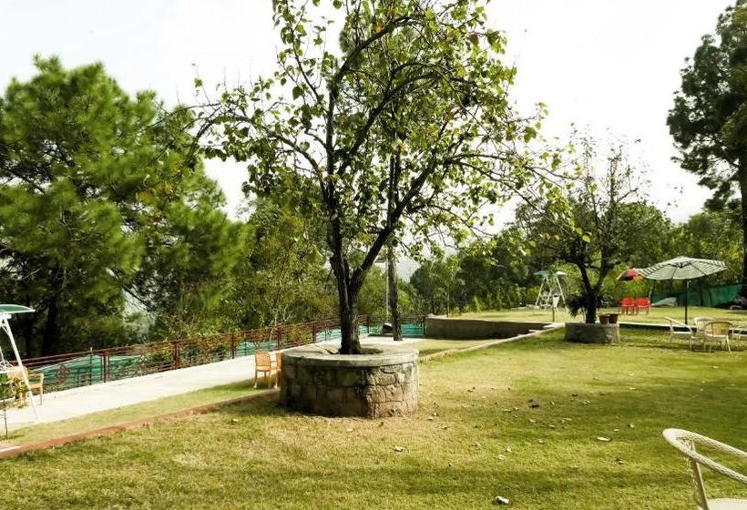 ホテル Kasauli Nature Inn