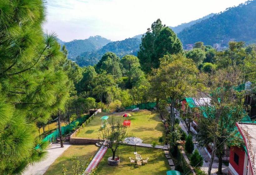 ホテル Kasauli Nature Inn