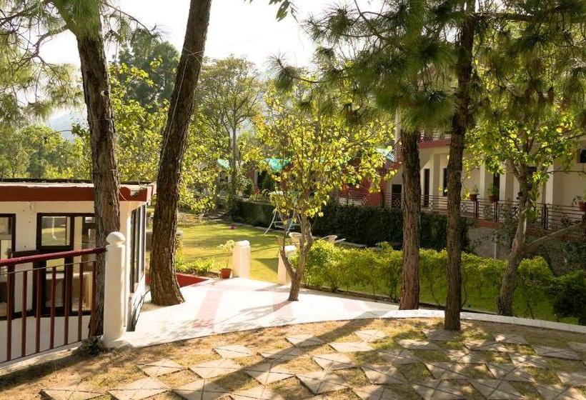 ホテル Kasauli Nature Inn