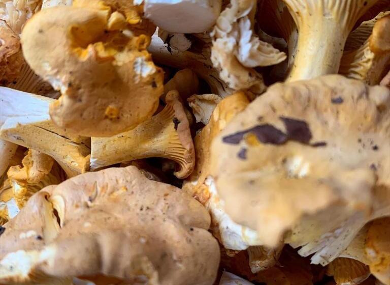 ホテル Nature Shelter