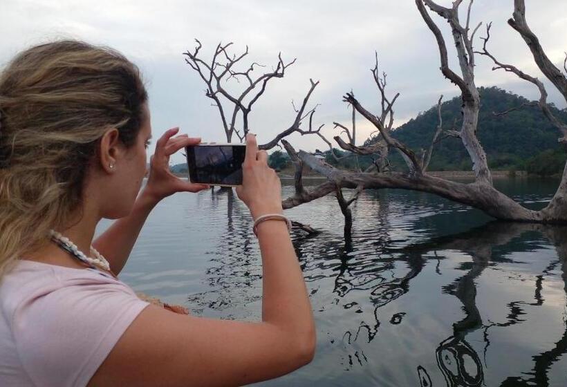 Pensione Thomasha Homestay & Tuk Tuk Service