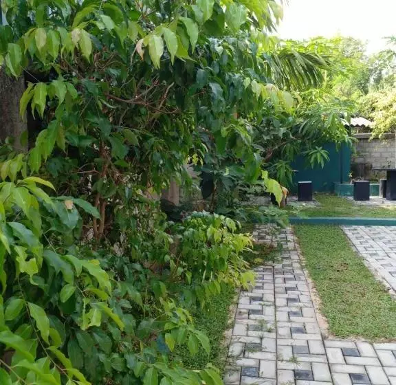 ペンション Thomasha Homestay & Tuk Tuk Service