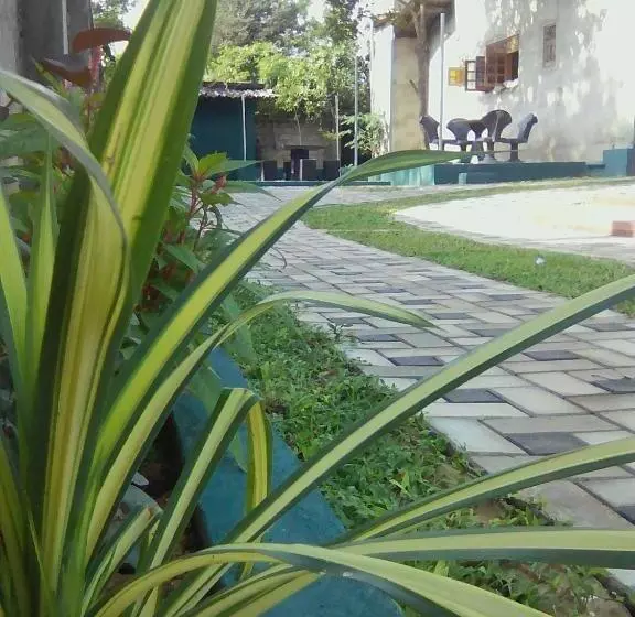 ペンション Thomasha Homestay & Tuk Tuk Service