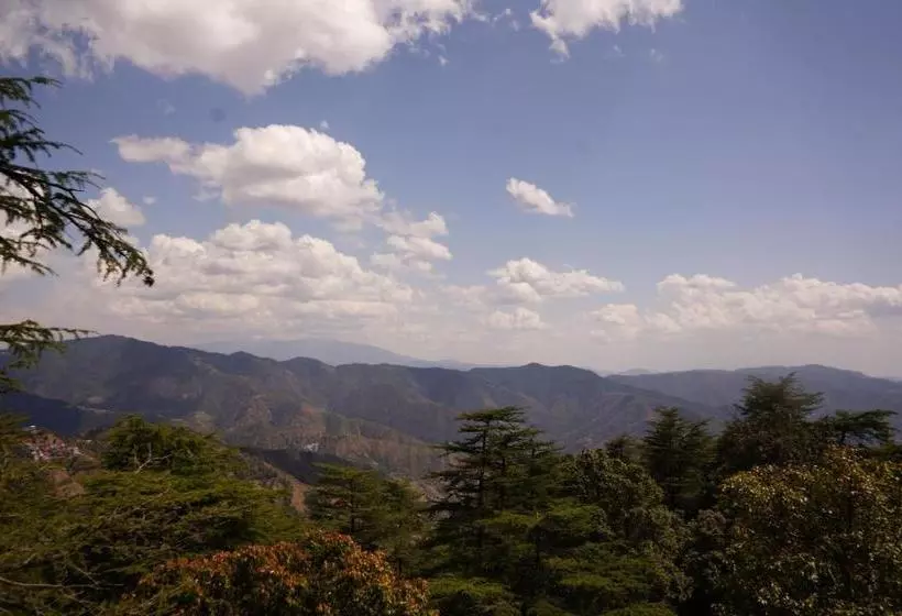 ベッドアンドブレックファースト Jakhu Vibes