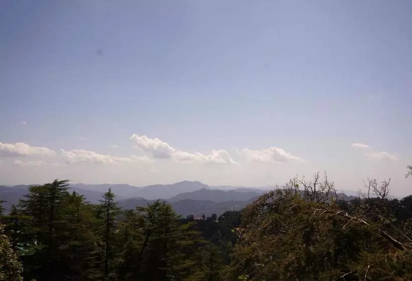 ベッドアンドブレックファースト Jakhu Vibes