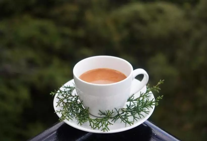 ベッドアンドブレックファースト Jakhu Vibes