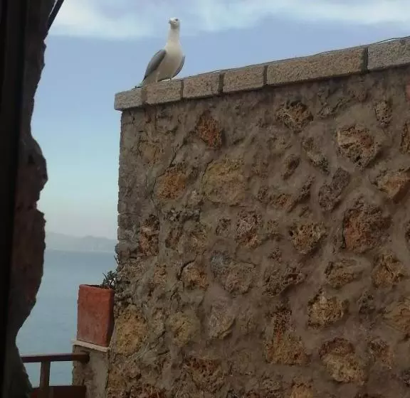 Aamiaismajoitus (B&B) Villa Flora Argentario