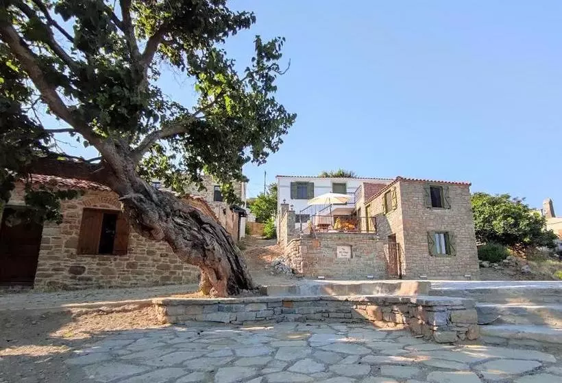 پانسیون The Hill Village House