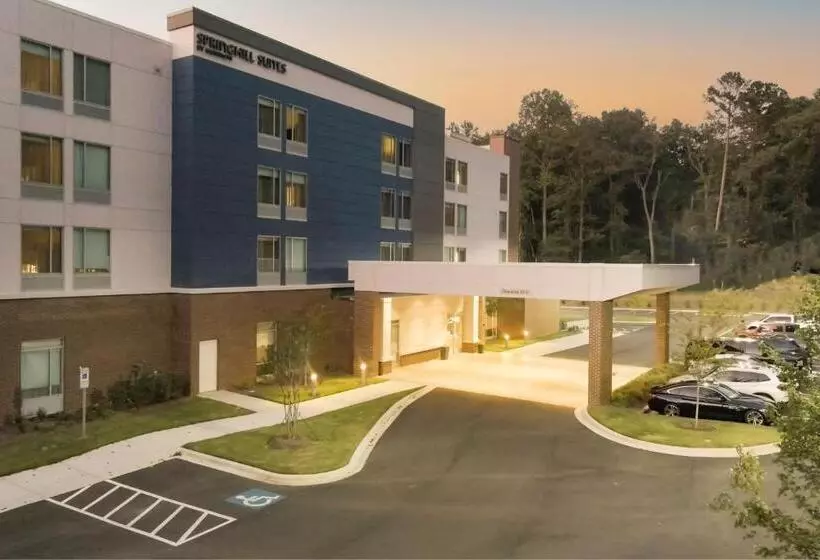 ホテル Springhill Suites By Marriott Charlotte Huntersville