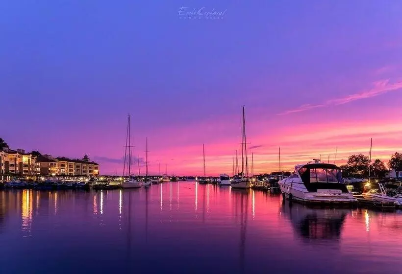 ホテル Springhill Suites By Marriott Charlotte Huntersville