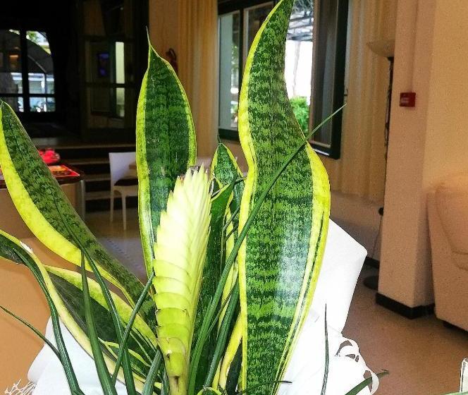 Hotel K2 Cervia 3 Stelle Sup