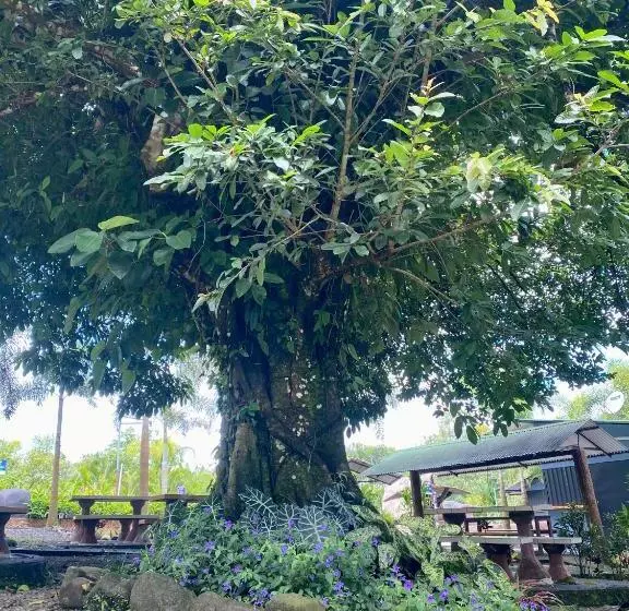هتل Termales Del Arenal
