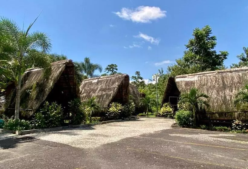 هتل Termales Del Arenal