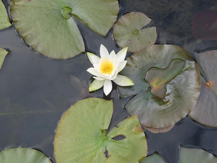 호텔 Agro Turismo Quinta Do Pendao