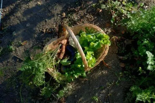 호텔 Casa De Requeixo