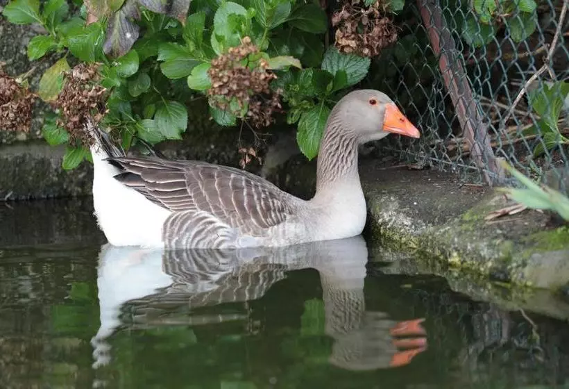 호텔 Casa De Requeixo