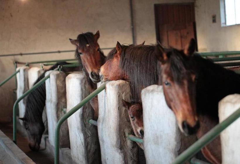 酒店 Casa De Requeixo