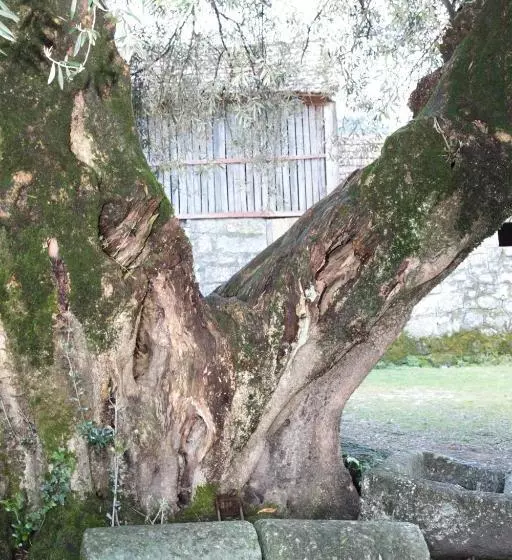 호텔 Casa De Requeixo