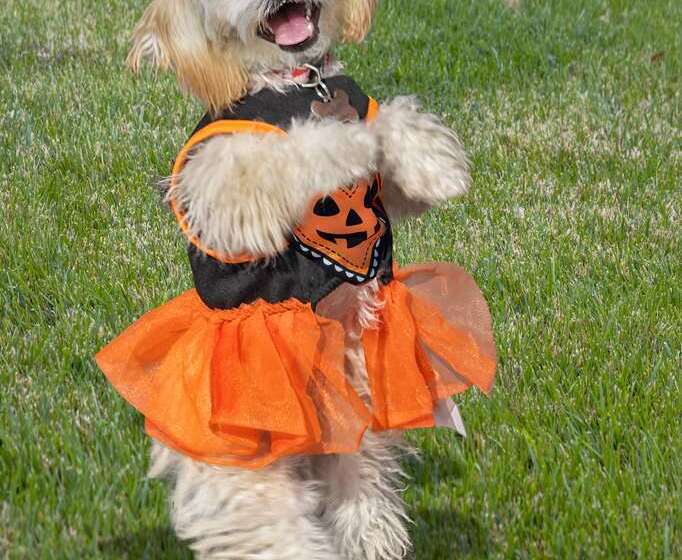 Otel Hilton San Diego Bayfront