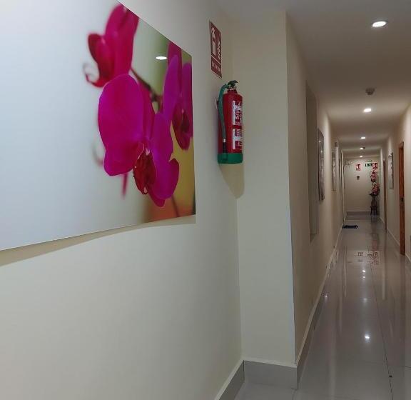 هتل Hostal Moncloa