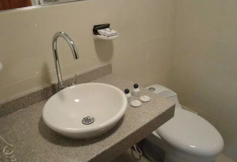 酒店 San Francisco De Asis