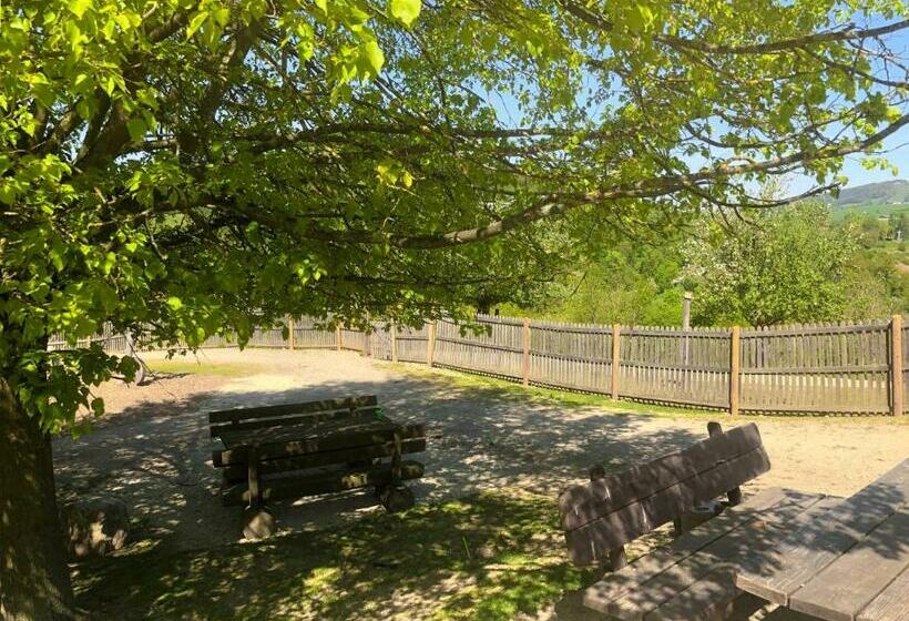 住宿加早餐 Tierpark Buchenberg