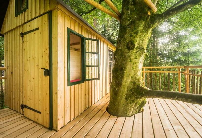 住宿加早餐 Tierpark Buchenberg