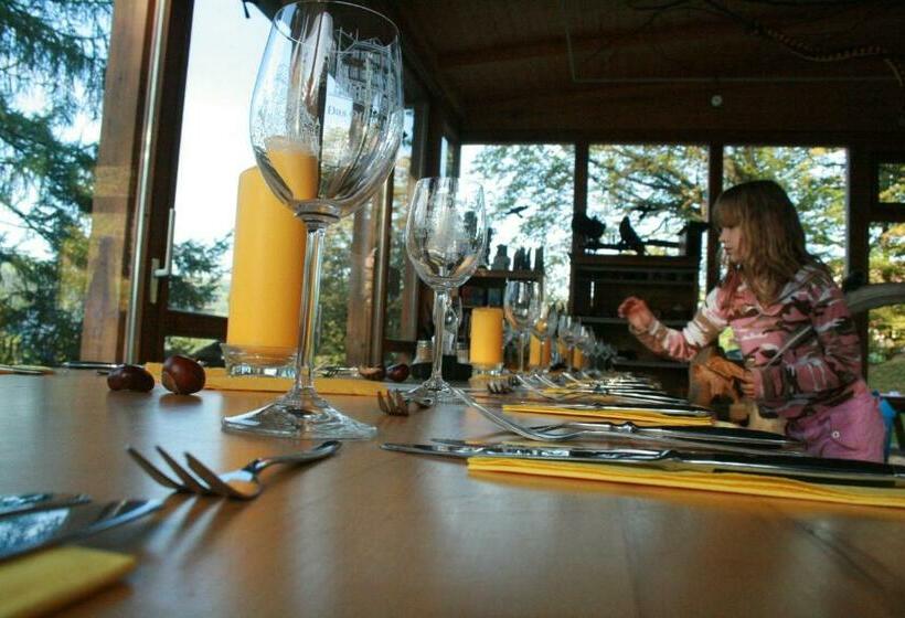 住宿加早餐 Tierpark Buchenberg