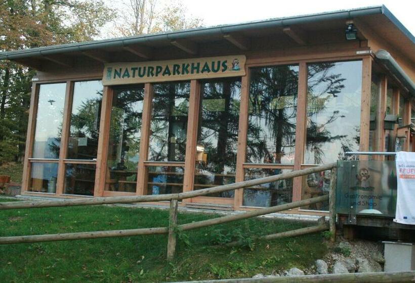 住宿加早餐 Tierpark Buchenberg