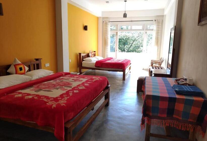 بنسيون Queensark